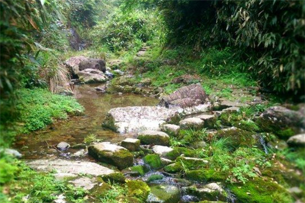 浙江十大古道排名霞客古道9.十里杜鹃古道10